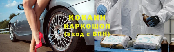 гидра Заводоуковск