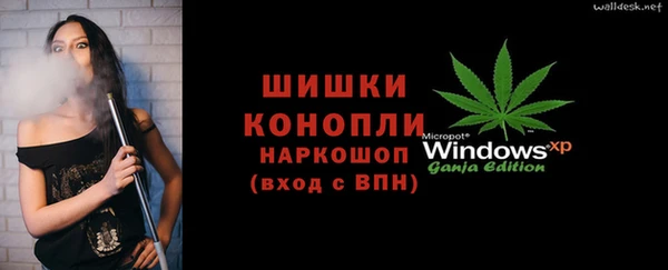 гидра Заводоуковск