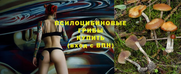 ALPHA-PVP Ельня
