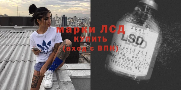 гидра Заводоуковск