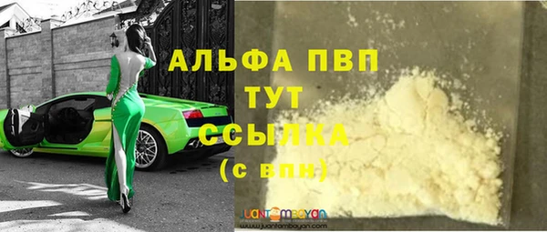 гидра Заводоуковск