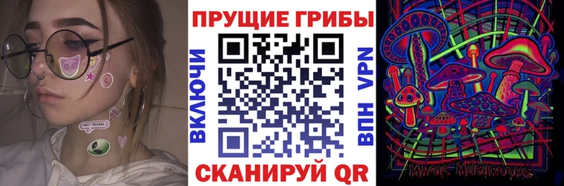 как найти   Инта  Галлюциногенные грибы MAGIC MUSHROOMS 